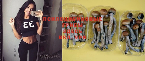 спайс Иннополис