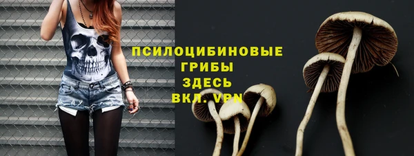 мет Инта
