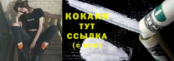 мет Инта