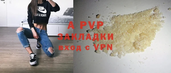 мет Инта