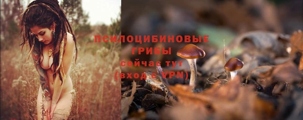 спайс Иннополис