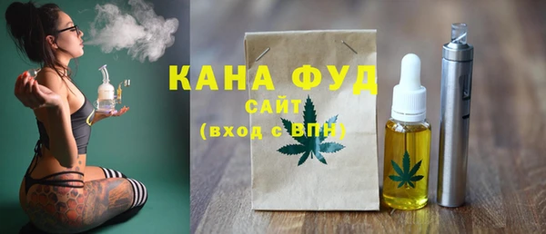 мет Инта