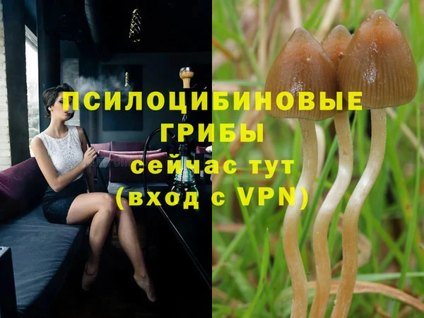 мет Инта