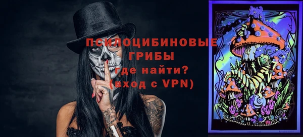 мет Инта