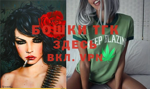 мет Инта