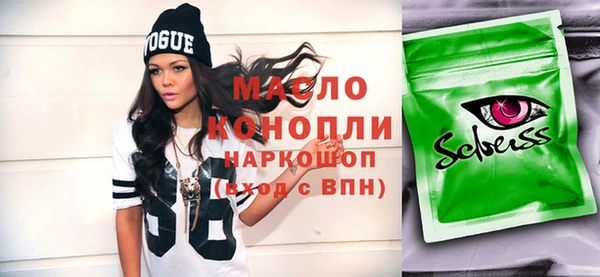 мет Инта